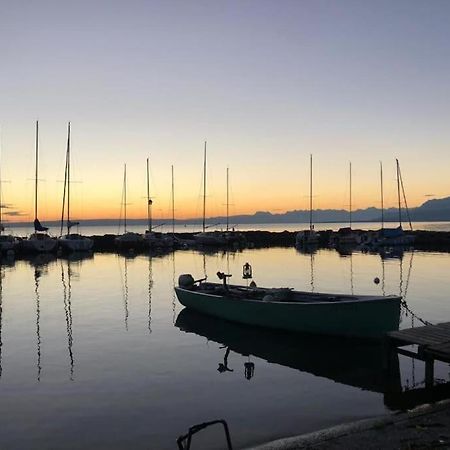 Villa Moderne, A 2 Pas Du Lac Leman Sciez Exterior foto