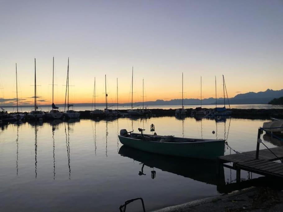 Villa Moderne, A 2 Pas Du Lac Leman Sciez Exterior foto